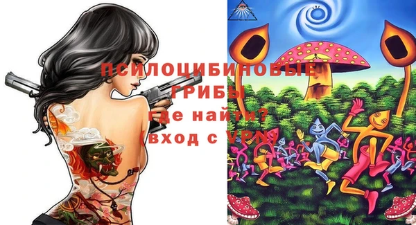 амф Белокуриха