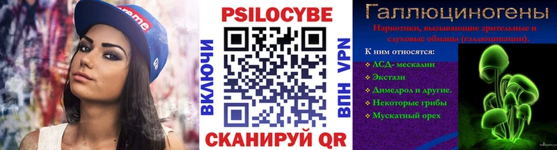 Псилоцибиновые грибы Psilocybine cubensis  кракен зеркало  Кыштым  цена наркотик 